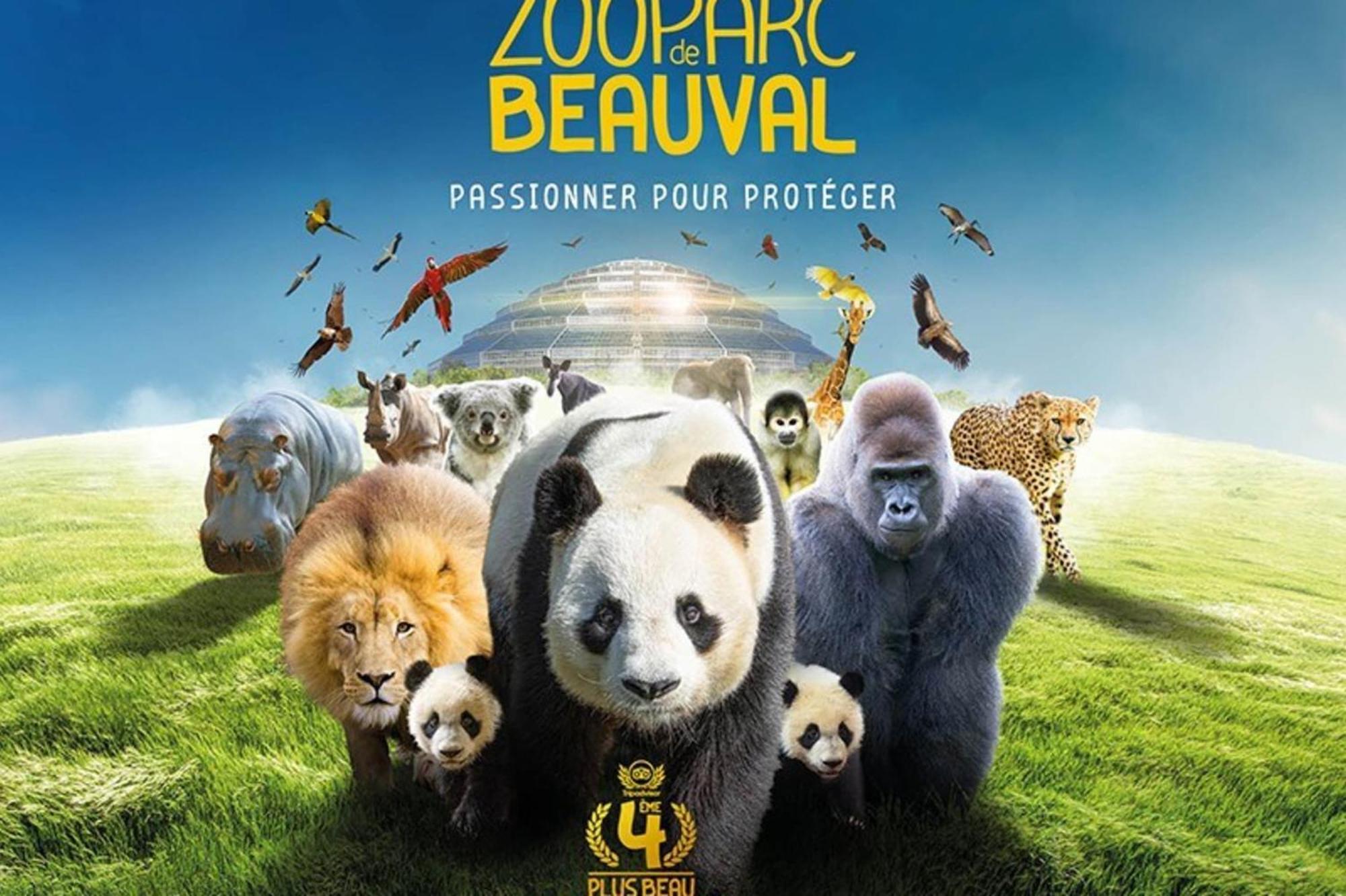 Les Capucines Proche Beauval & Chateaux Saint-Aignan  Esterno foto